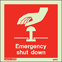 6001C - Jalite Emergency Shut Down